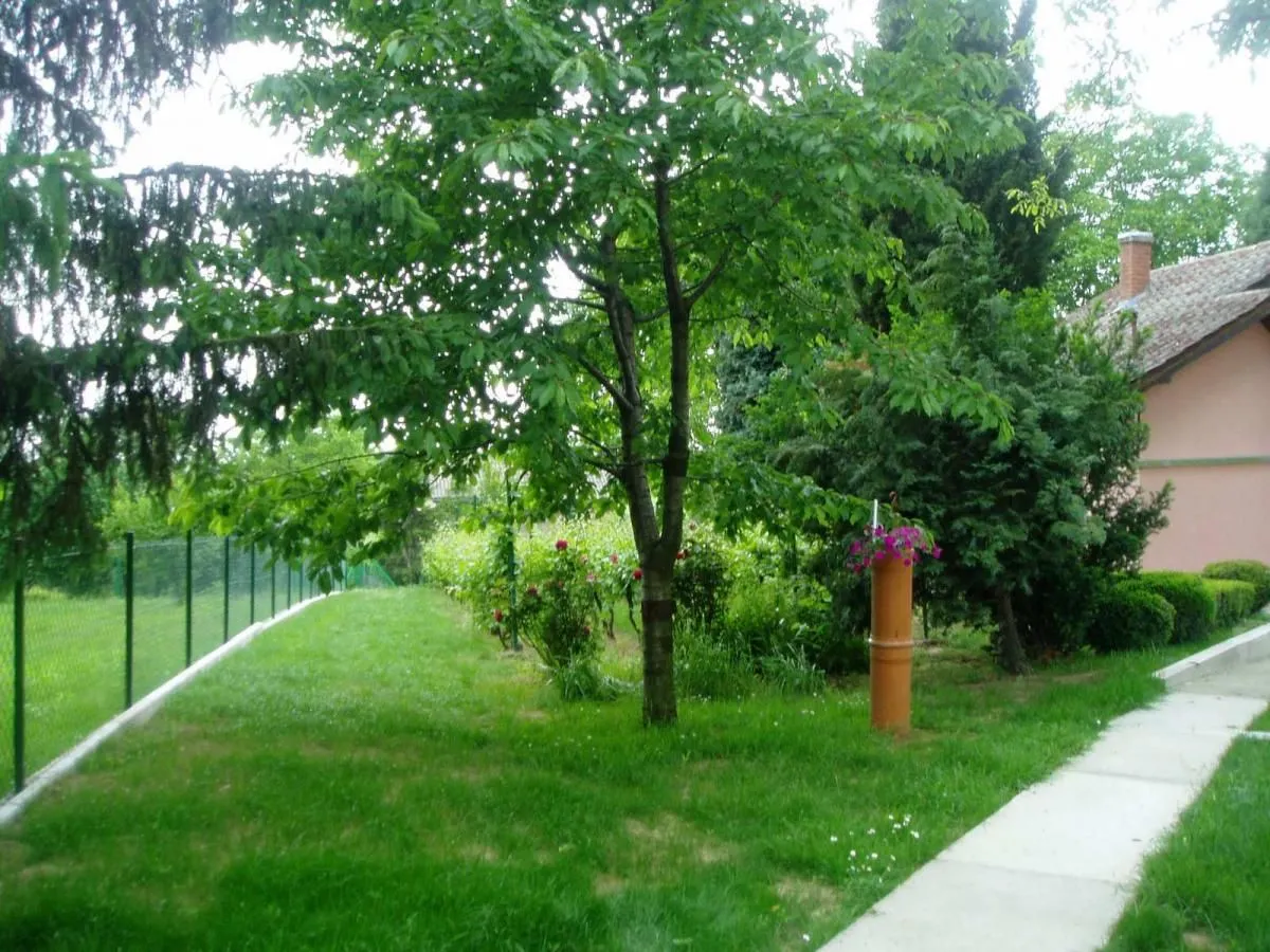 Sale, house, 360m², Irig, Srbija