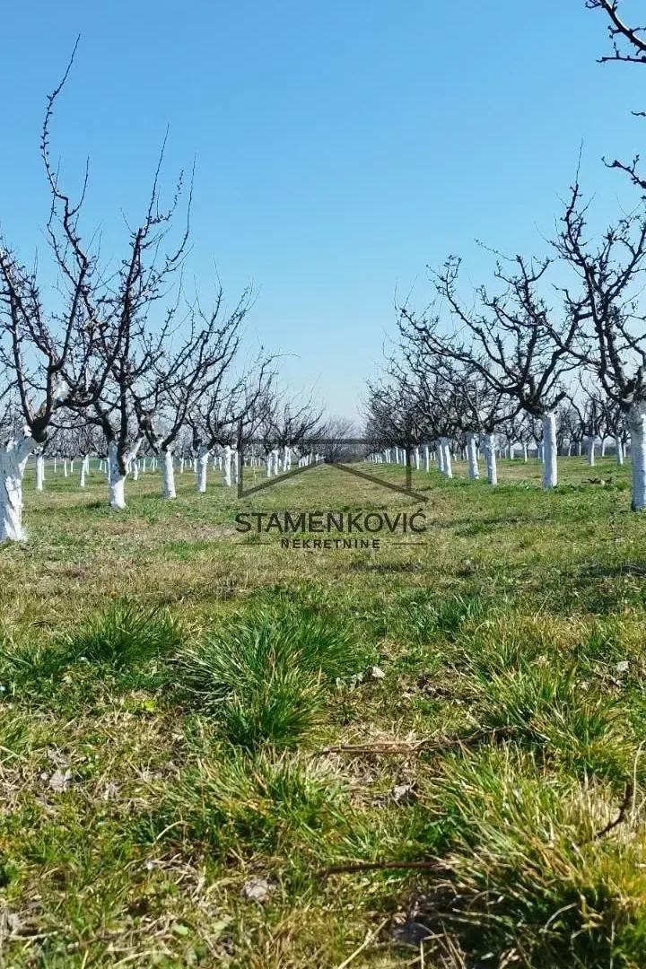 Prodaja, plac, 4636m², Sremska Mitrovica, Srbija