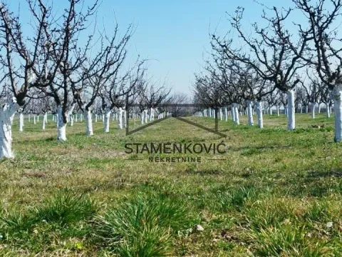 Prodaja, plac, 4636m², Sremska Mitrovica, Srbija - image 6