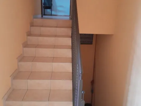 Sale, house, 175m², Novi Sad Sve Podlokacije, Novi Sad - image 12