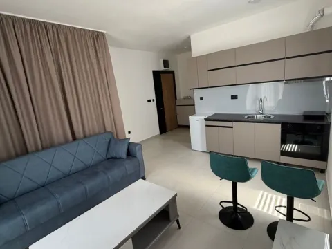 Rent, studio apartment, 31m², Zagorič, Podgorica - image 2