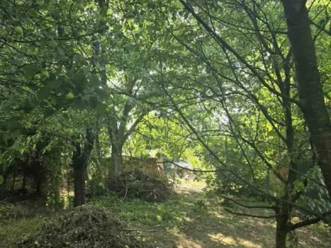 Sale, land lot, 1000m², Ribnjak, Petrovaradin - image 7