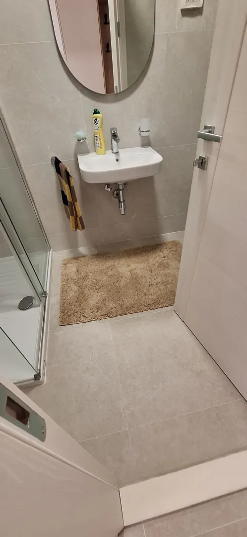 Small bathroom with a washbasin, shower cabin, and a mirror.