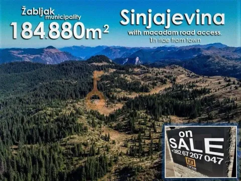 Prodaja, plac, 184880m², Žabljak, Crna Gora