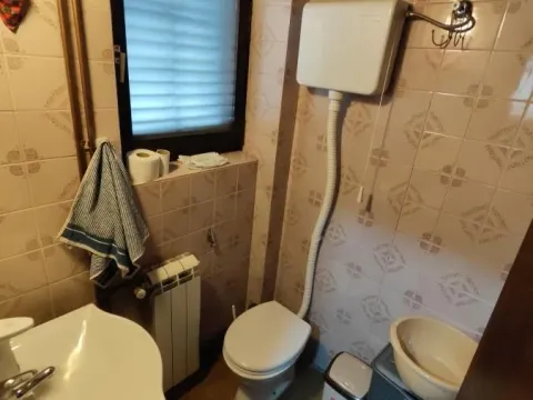 Prodaja, kuća, 250m², Budžino brdo, Jagodina - image 15