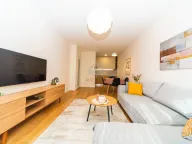 Izdavanje, jednosoban stan, 49m², Central Point, Podgorica - image 1