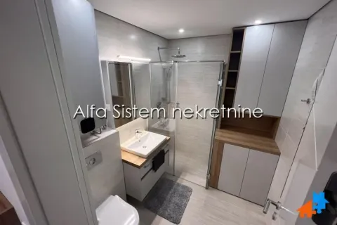 Modernly equipped bathroom with a walk-in shower, washbasin, and built-in cabinetry. - image 7