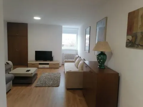 Izdavanje, jednosoban stan, 40m², Savski Venac, Beograd - image 15