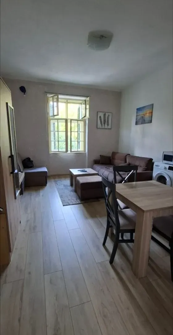 Izdavanje, garsonjera, 25m², Centar, Cetinje