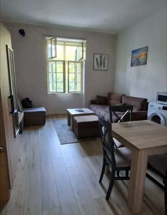 Izdavanje, garsonjera, 25m², Centar, Cetinje