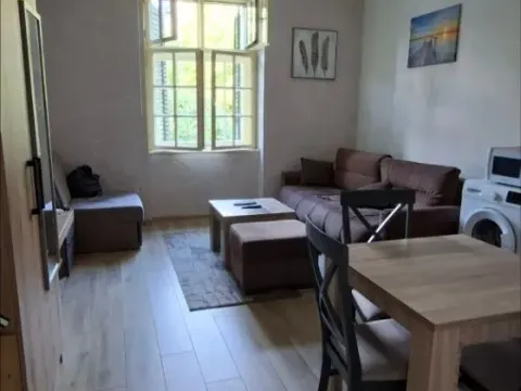 Izdavanje, garsonjera, 25m², Centar, Cetinje