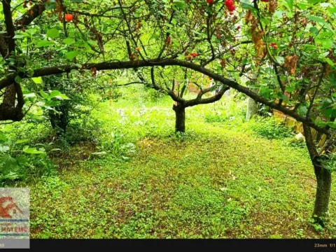 Sale, house, 225m², Aerodrom, Kragujevac - image 12