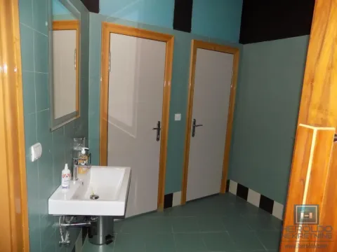 Izdavanje, poslovni prostor, 270m², 7. juli, Paraćin - image 54