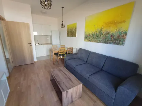 Prodaja, jednosoban stan, 35m², Zabjelo, Podgorica - image 1