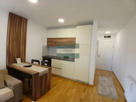 Izdavanje, garsonjera, 27m², Centar, Jagodina - image 6