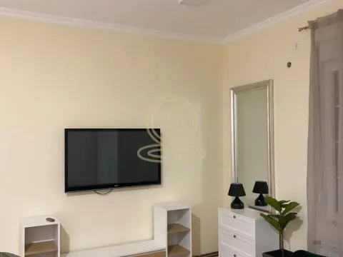 Rent, two bedroom apartment, 51m², Vračar Sve Podlokacije, Beograd - image 8