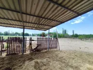 Prodaja, kuća, 450m², Makova Sedmica, Subotica - image 24