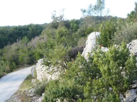 Zemljište pored lokalnog puta okruženo prirodnim zelenilom. - image 4