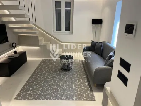 Izdavanje, kuća, 48m², Vračar Sve Podlokacije, Beograd - image 3