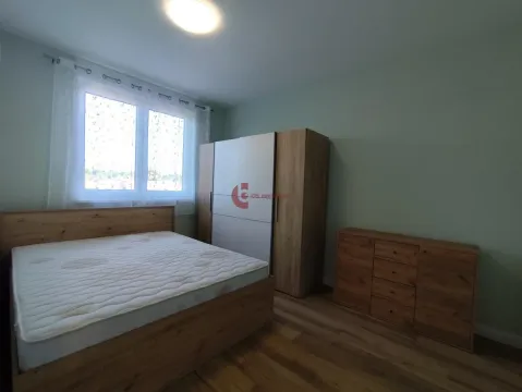Izdavanje, dvosoban stan, 48m², Centar, Subotica - image 7