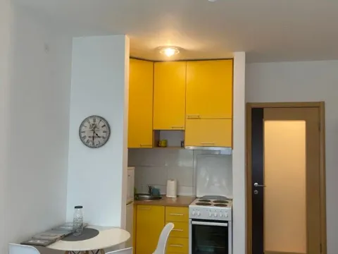 Izdavanje, garsonjera, 25m², Pobrežje, Podgorica - image 3