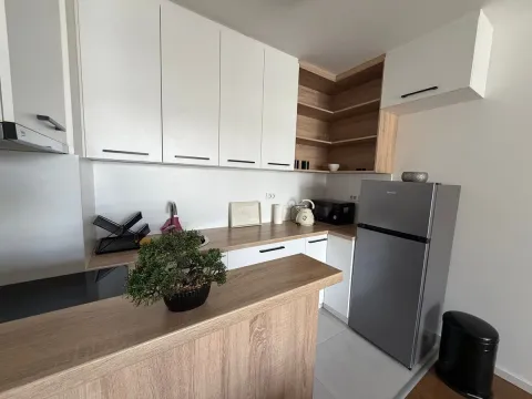 Rent, two bedroom apartment, 46m², Višnjička Banja, Palilula Sve Podlokacije - image 3