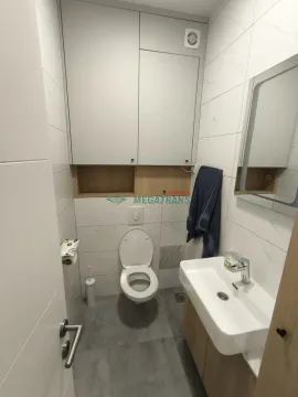 Manje kupatilo sa modernim umivaonikom, WC šoljom i ugradnim elementima. - image 19