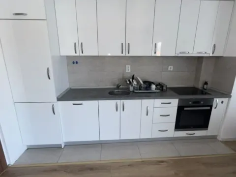 Izdavanje, jednosoban stan, 48m², Stari Aerodrom, Podgorica - image 4