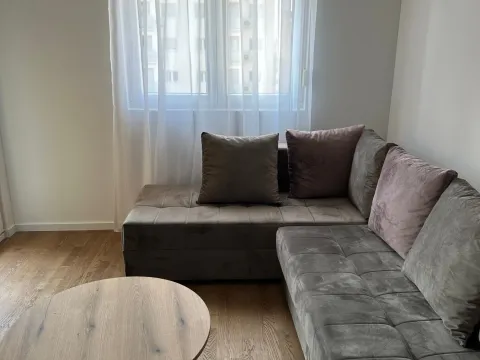 Rent, one bedroom apartment, 44m², Zabjelo, Podgorica - image 2