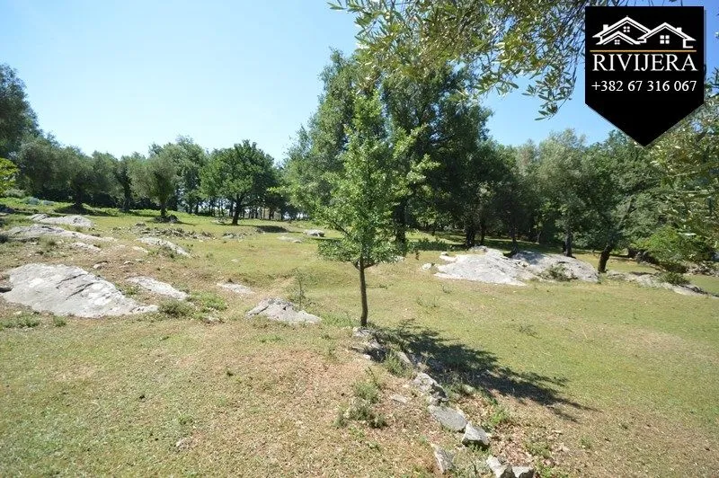 Prodaja, plac, 19000m², Podi, Herceg Novi