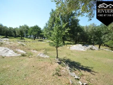 Prodaja, plac, 19000m², Podi, Herceg Novi - image 5