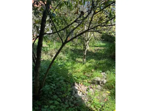 Sale, house, 93m², Bela Palanka, Srbija - image 6