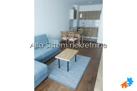 Rent, two bedroom apartment, 46m², Višnjička Banja, Palilula Sve Podlokacije - image 6