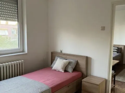 Izdavanje, dvosoban stan, 43m², Detelinara, Novi Sad Sve Podlokacije - image 5