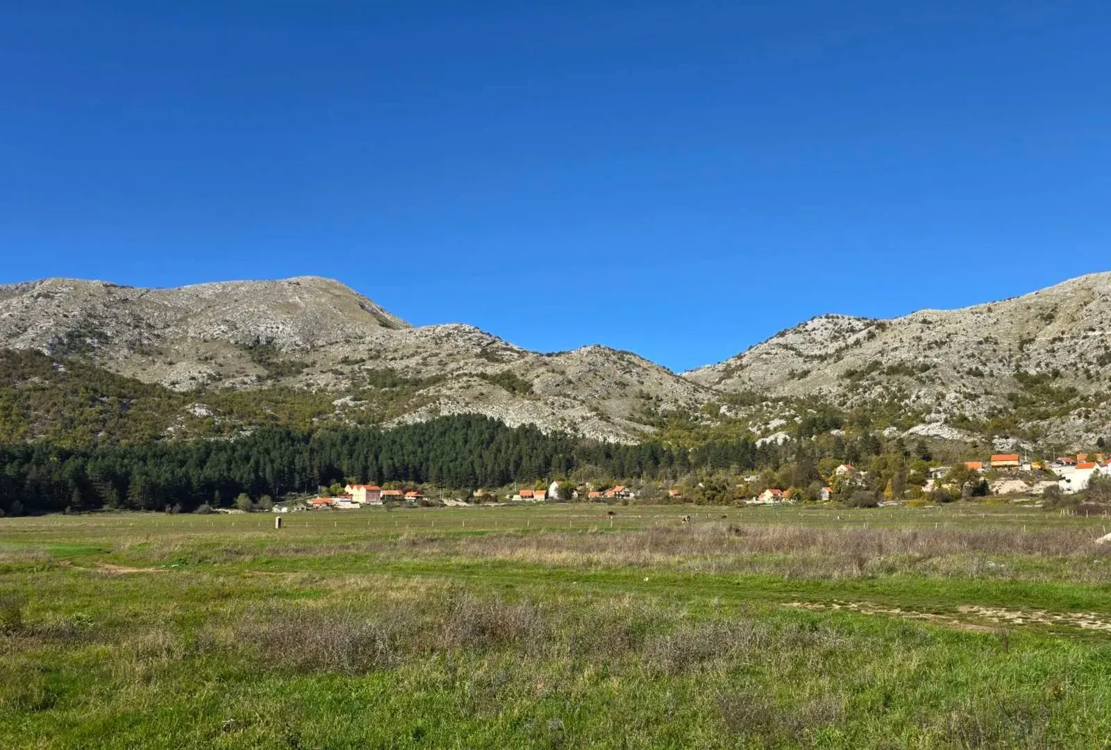 Prodaja, plac, 6000m², Cetinje, Crna Gora