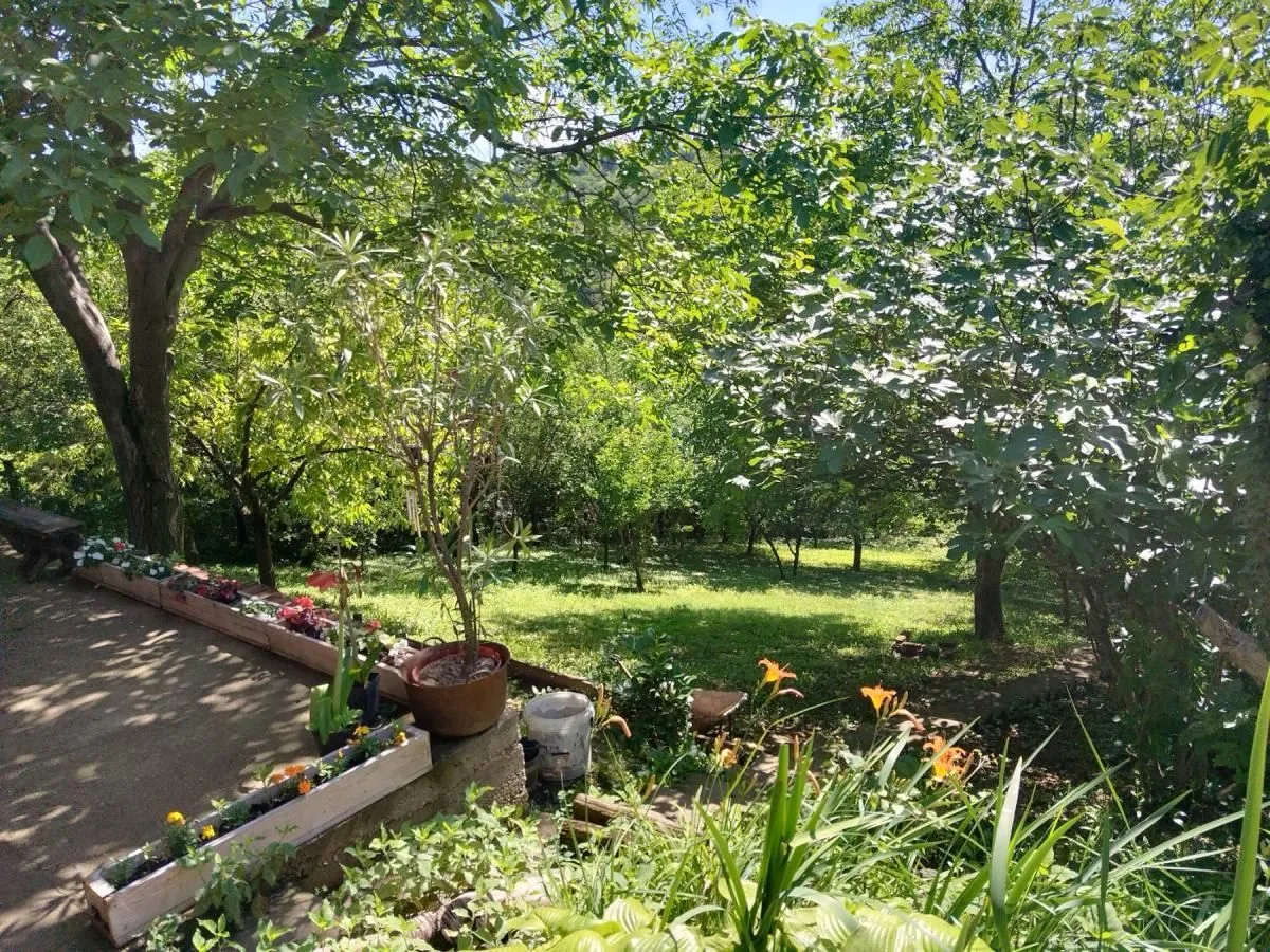 Sale, house, 139m², Petrovaradin, Novi Sad