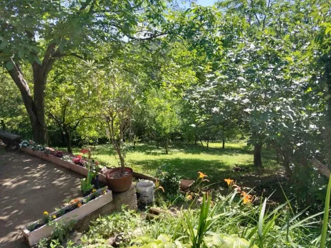 Prodaja, kuća, 139m², Petrovaradin, Novi Sad - image 27