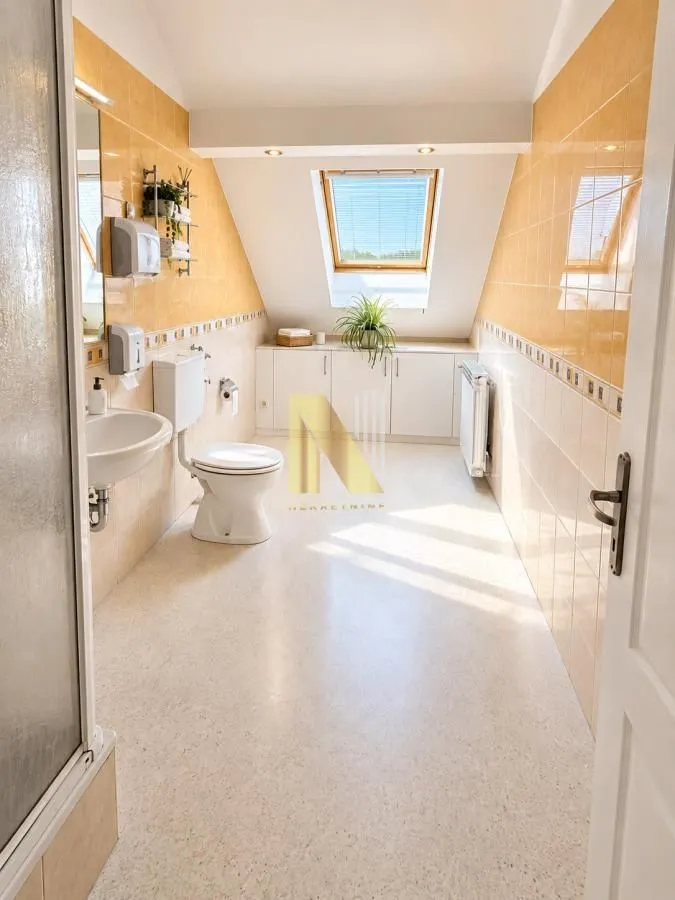 Spacious bathroom with a skylight, walk-in shower, toilet, and sink.