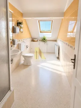 Spacious bathroom with a skylight, walk-in shower, toilet, and sink. - image 20