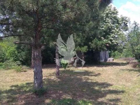 Prodaja, kuća, 66m², Koraćica, Mladenovac - image 9