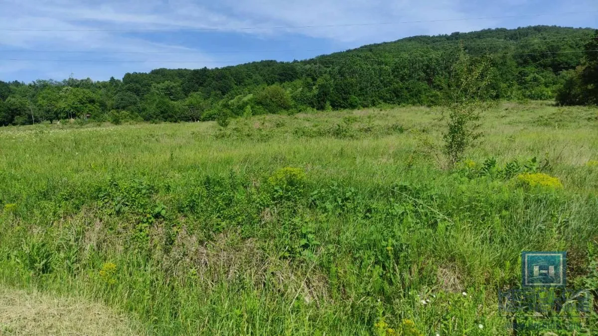 Prodaja, plac, 216600m², Resavica (varošica), Despotovac