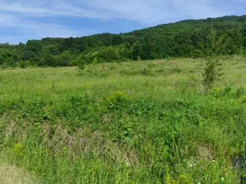 Prodaja, plac, 2166m², Resavica (varošica), Despotovac - image 12