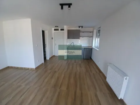 Izdavanje, garsonjera, 36m², Centar, Jagodina - image 3