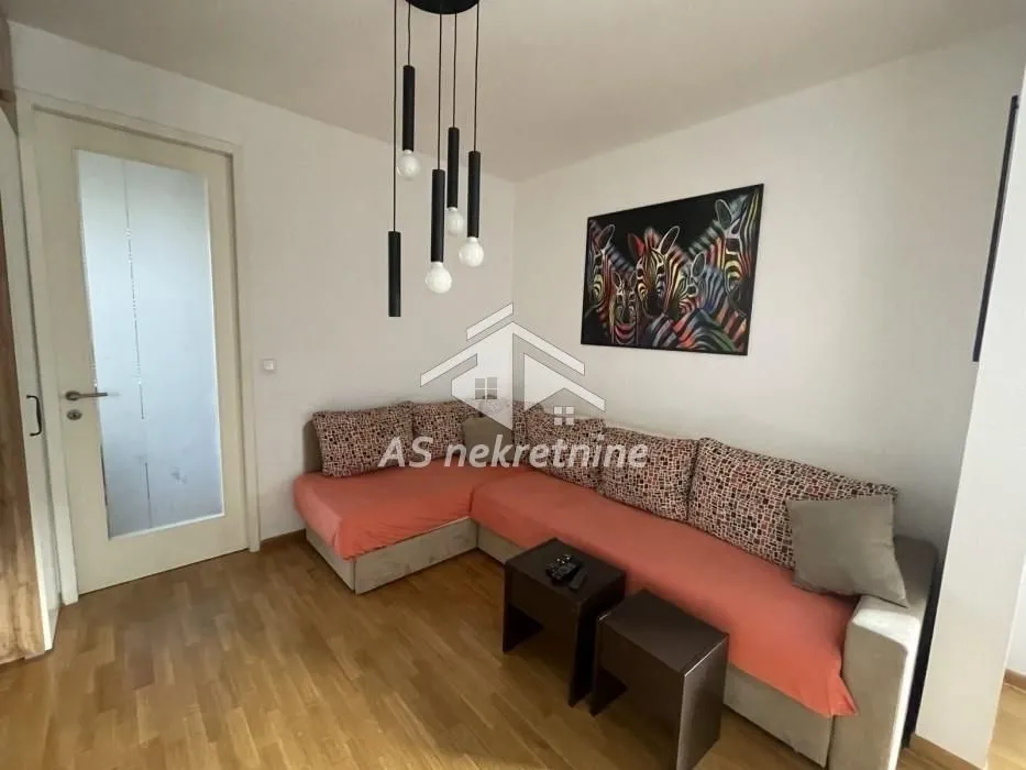 Izdavanje, dvosoban stan, 47m², Novi Beograd Blok 67, Novi Beograd Sve Podlokacije