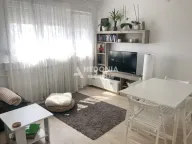 Izdavanje, jednosoban stan, 36m², Zemun Centar, Zemun Sve Podlokacije - image 1
