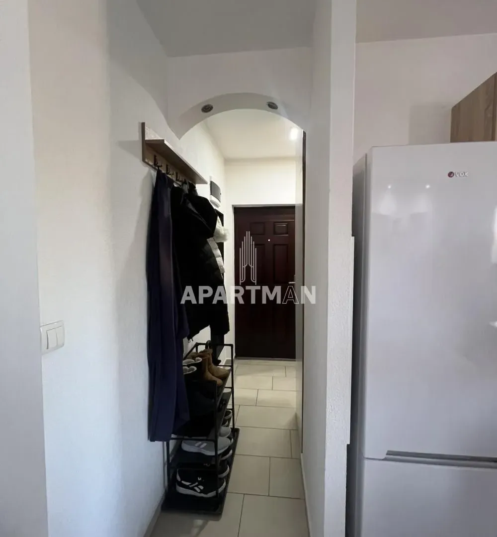 Rent, one bedroom apartment, 29m², Altina, Beograd