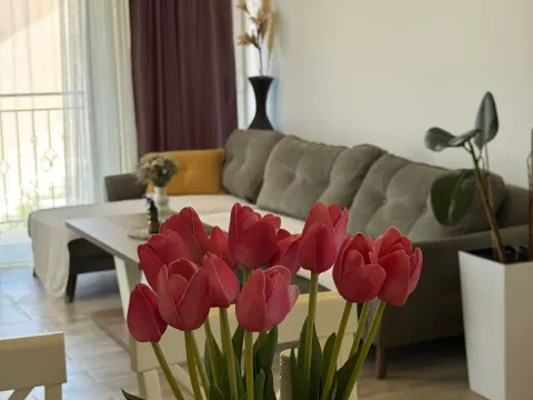 Izdavanje, dvosoban stan, 90m², Đenovići, Herceg Novi - image 8