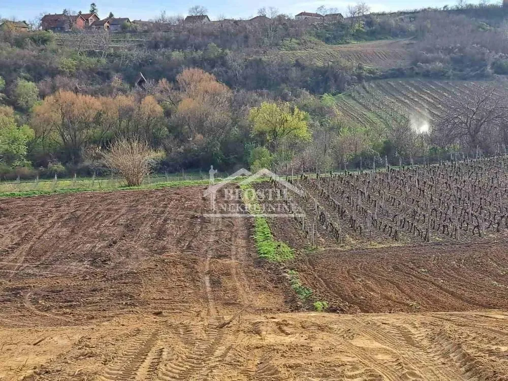 Prodaja, plac, 4966m², Brestovik, Grocka
