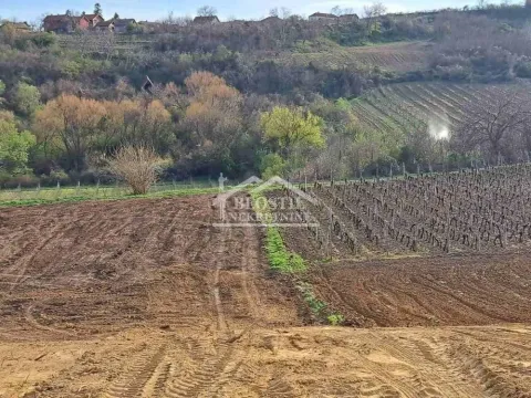 Prodaja, plac, 4966m², Brestovik, Grocka - image 9