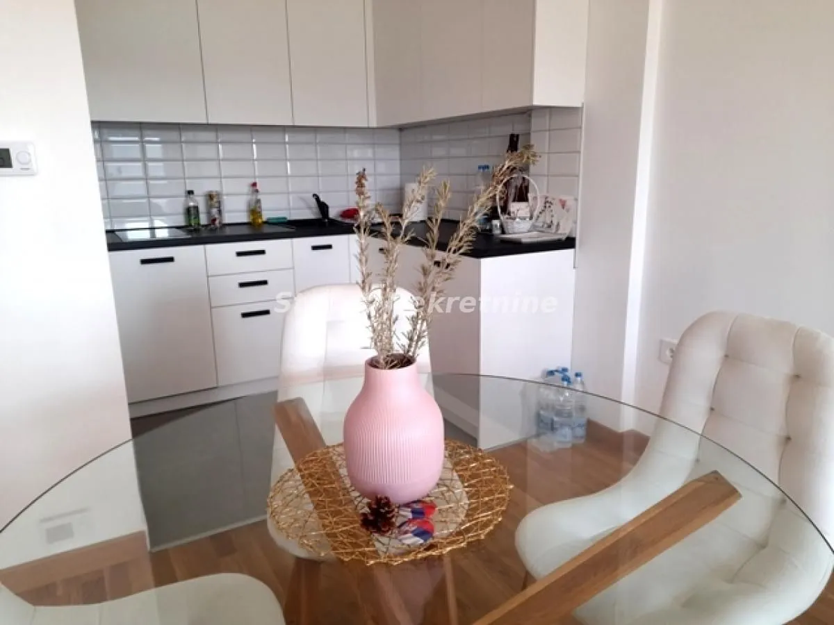 Sale, one bedroom apartment, 55m², Banja Vrdnik, Irig